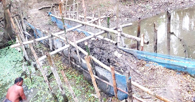 বোরো মৌসুমে খালে বাঁধ দিয়ে মাছ শিকার