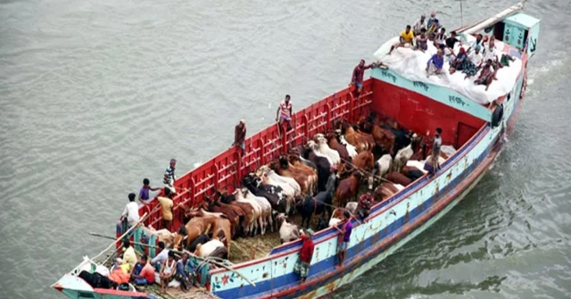 পদ্মায় ট্রলারে ডাকাতি, কোটি টাকা লুটের অভিযোগ