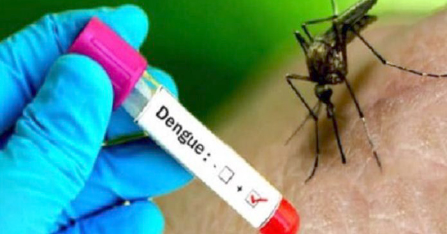 ডেঙ্গুতে ৬ জনের মৃত্যু